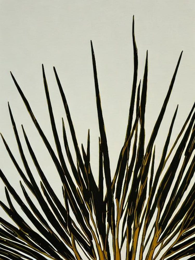 Acropora Echinata Linocut