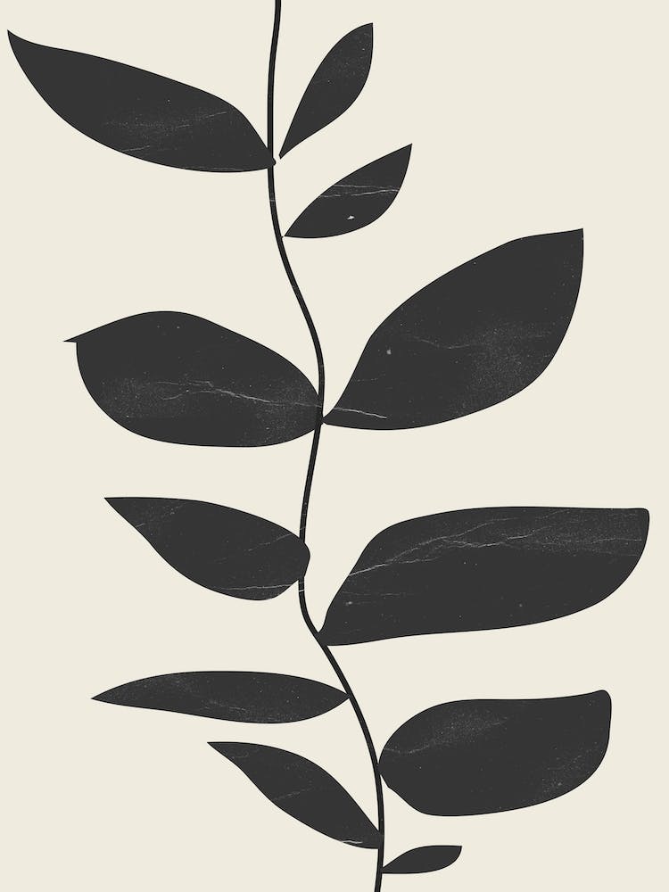 Minimal Plant Cream Black