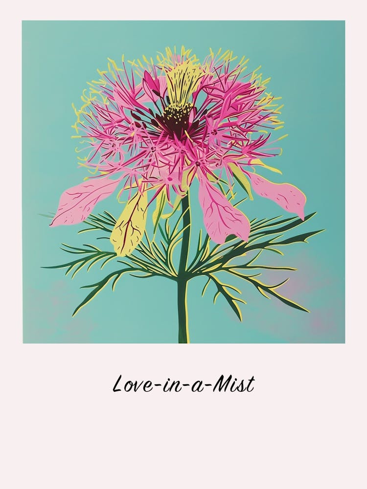 Love In A Mist 6 Square Flower Illustration Poster