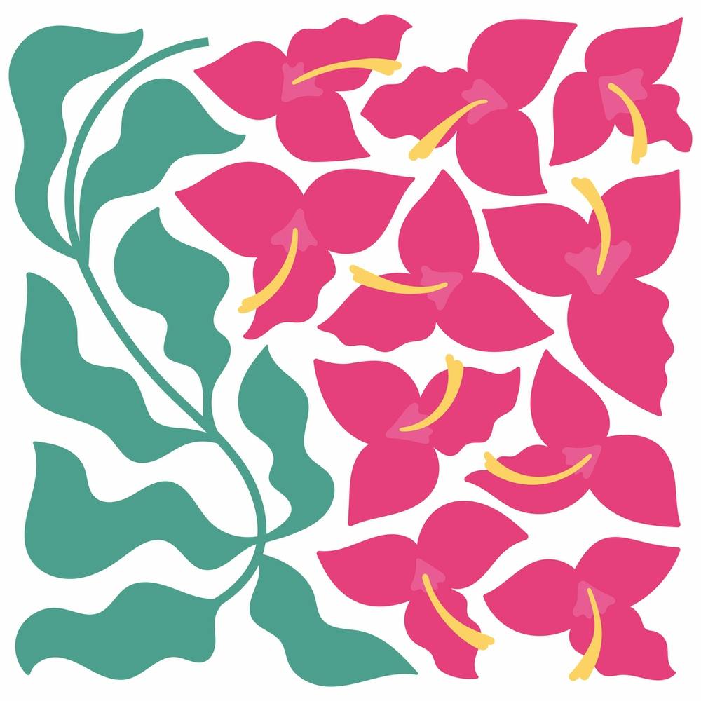 Hibiscus