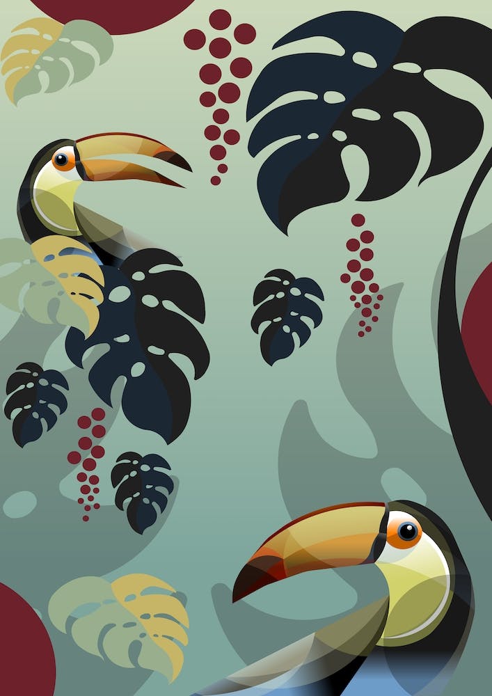 Tucan
