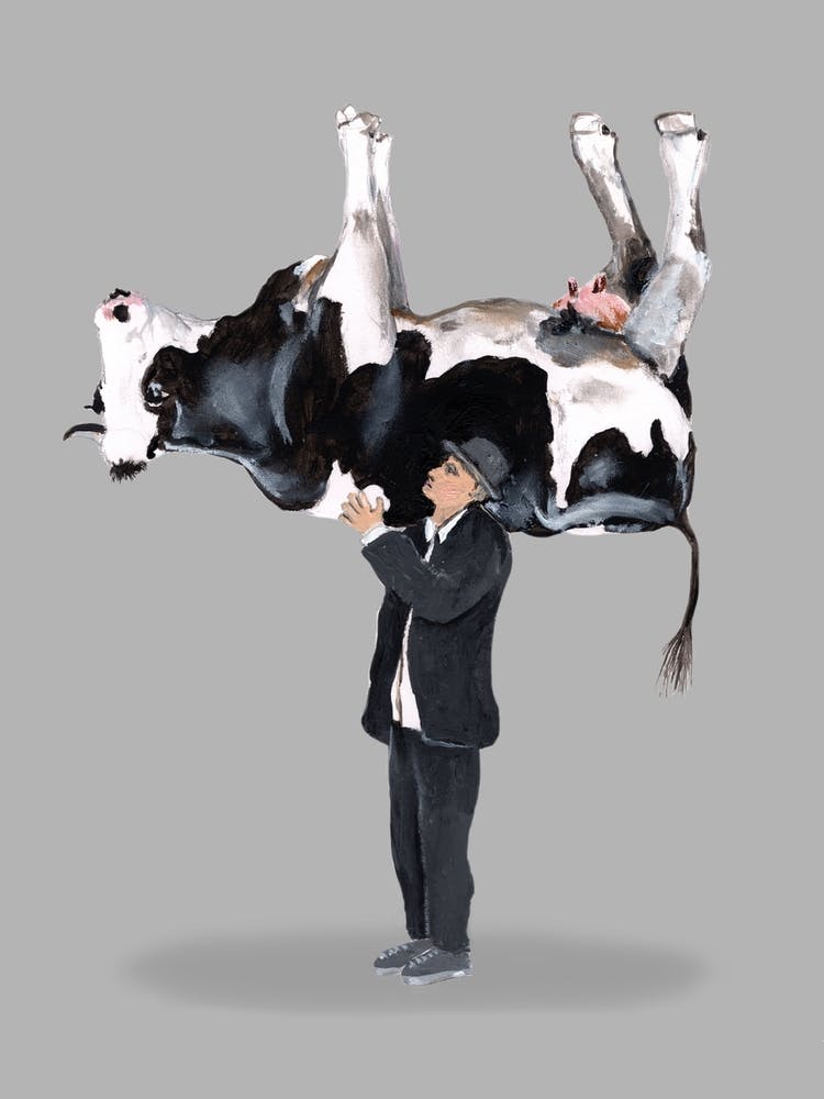Carrying A Cow