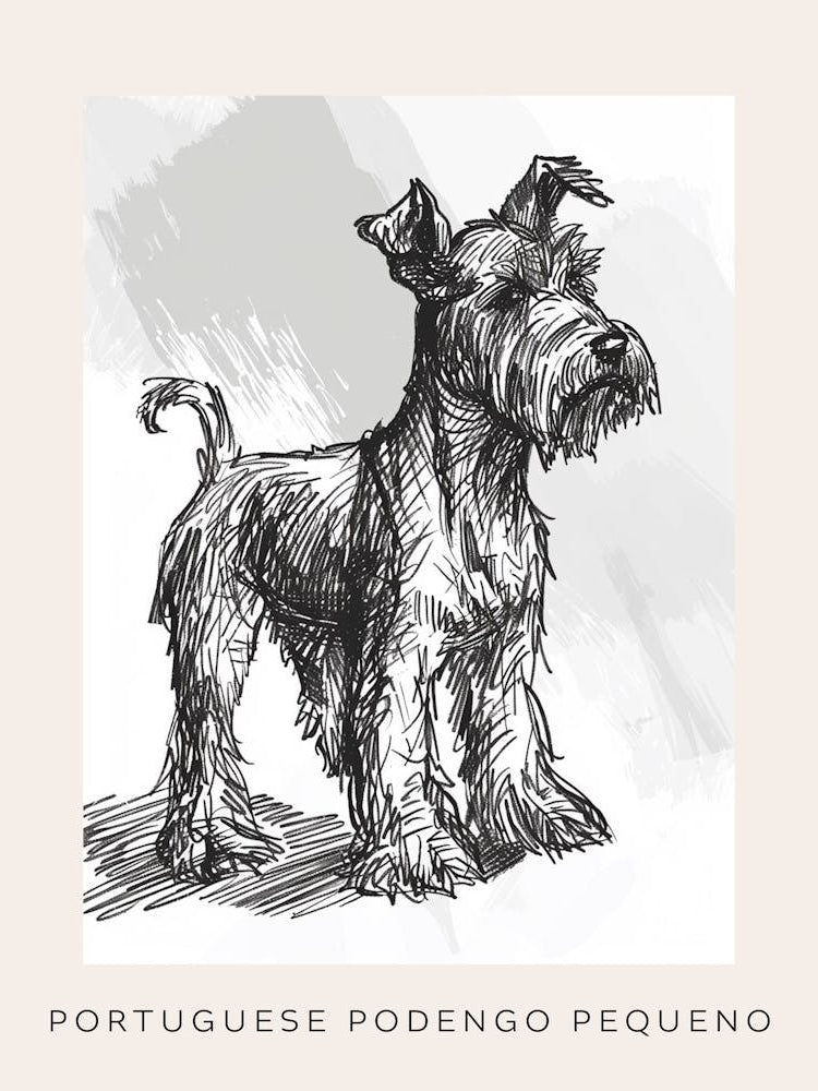 Portuguese Podengo Pequeno Dog Poster 4