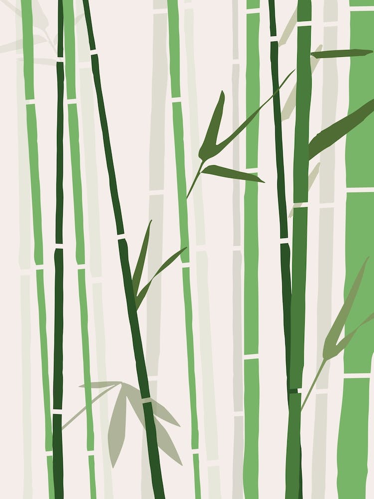 Bamboo Rainbow Green