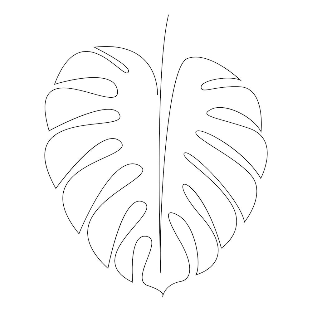 Monstera Square Line