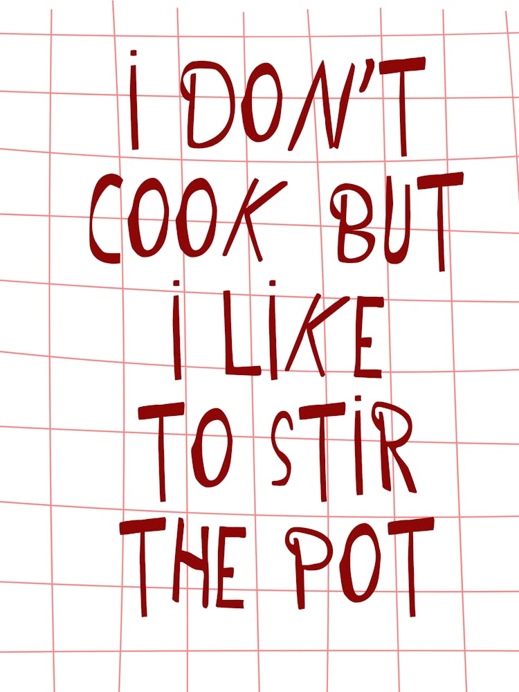 I Don'T Cook But I Like To Stir The Pot