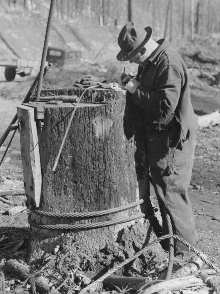 Checker At Logging Operations, Tillamook County, Oregon By Russell Lee