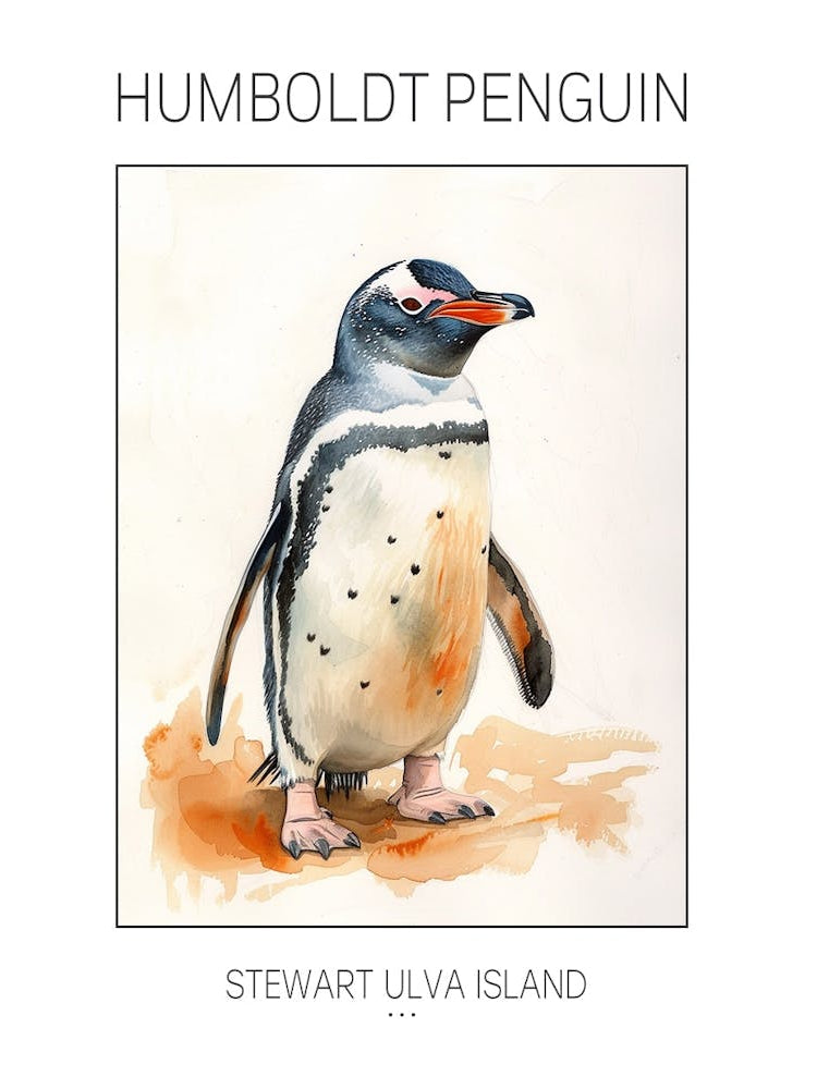 Humboldt Penguin Stewart Island Ulva Island Watercolour Painting 1 Poster