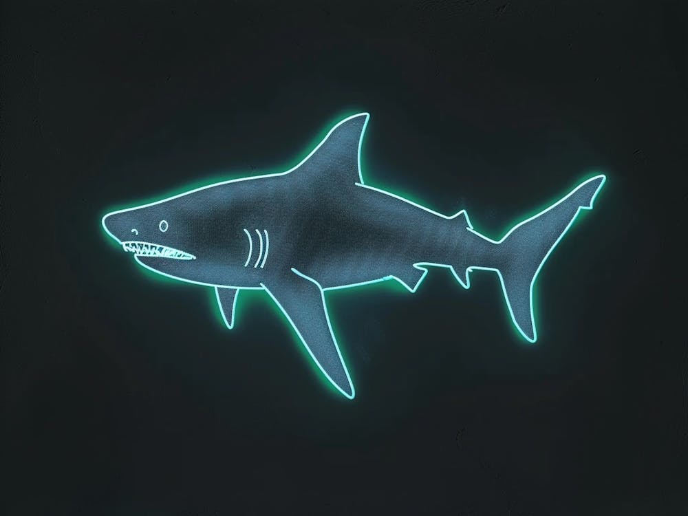 Neon Blue Greenland Shark 2