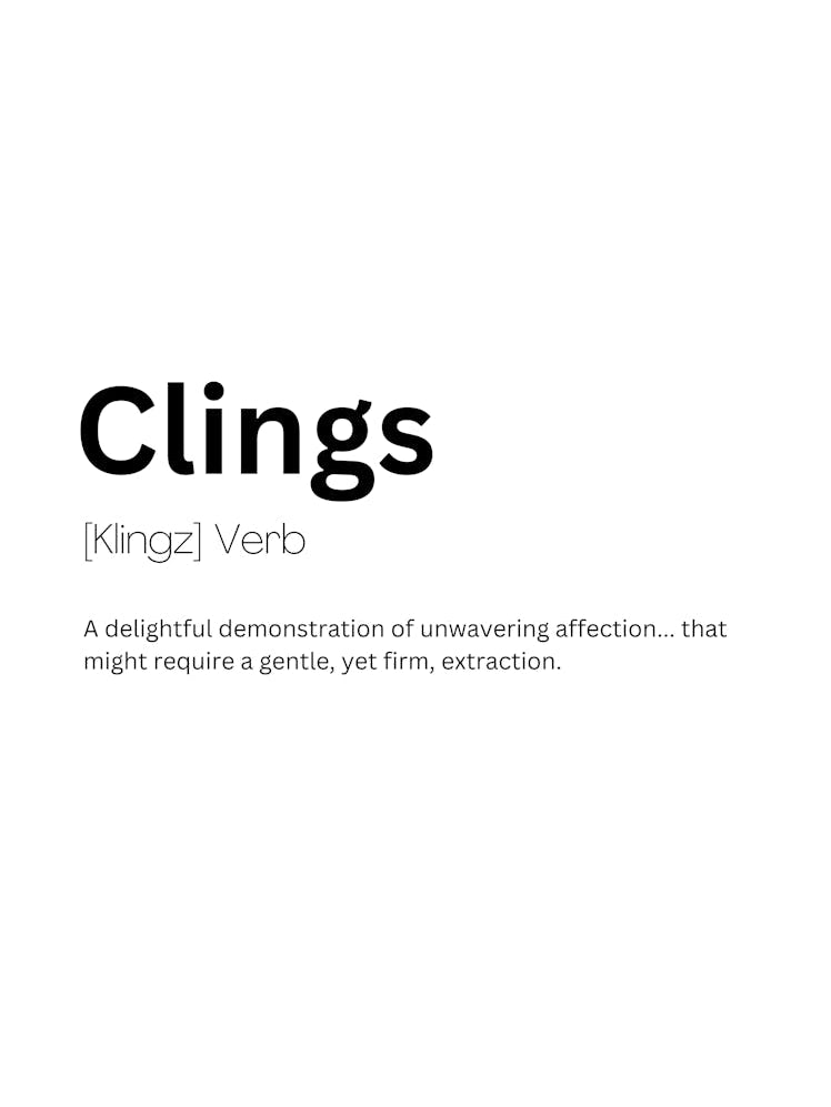 Clings Definition Meaning