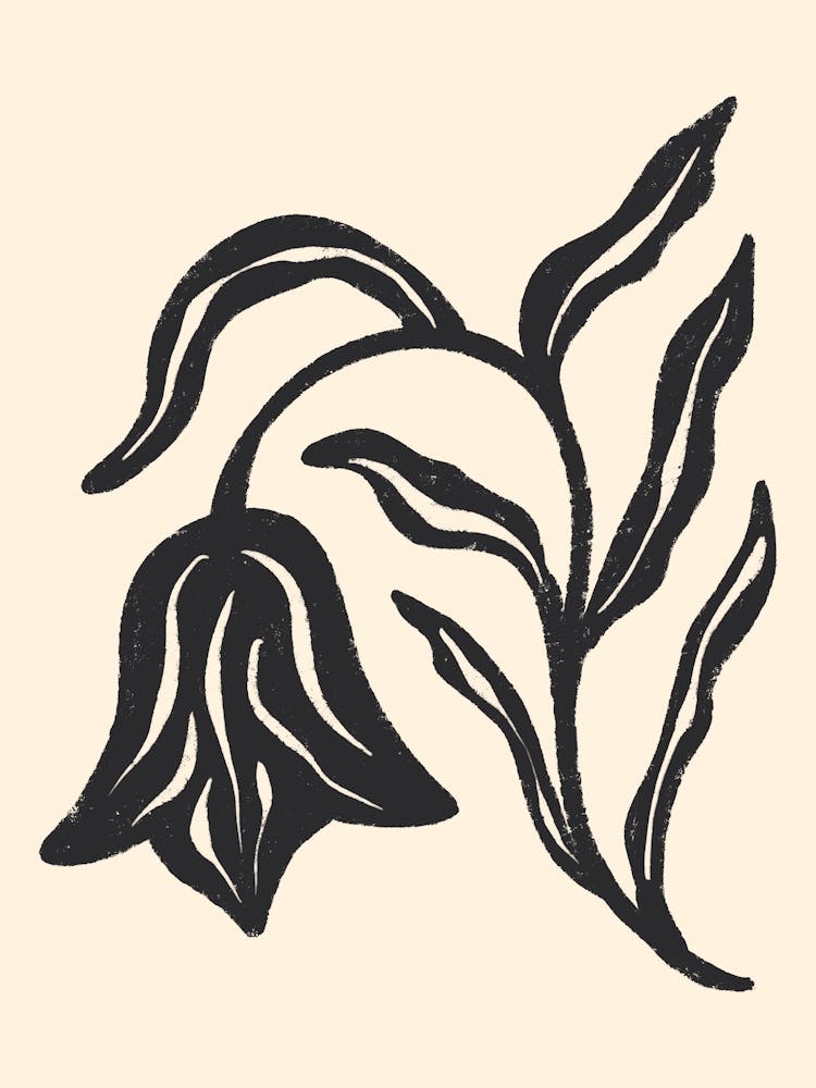 Texturierte Schwarze Tulpe Botanische Kunst