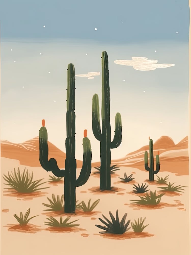Desert Cactus Landscape Illustration 6