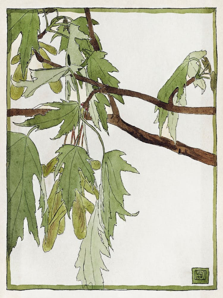 Maple (1915), Hannah Borger Overbeck