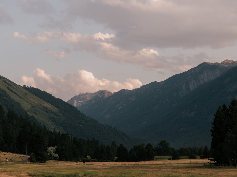 August in the Mountains