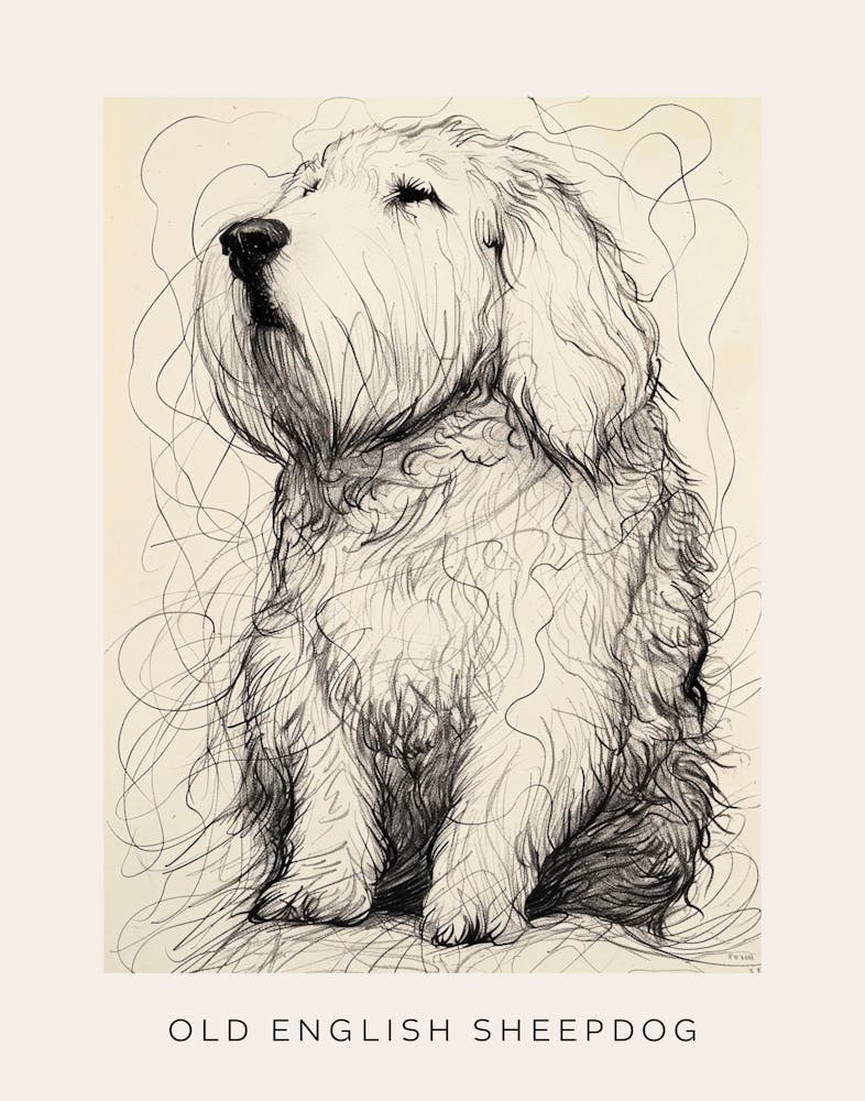 Old English Sheepdog Linien-Skizze 1 Poster