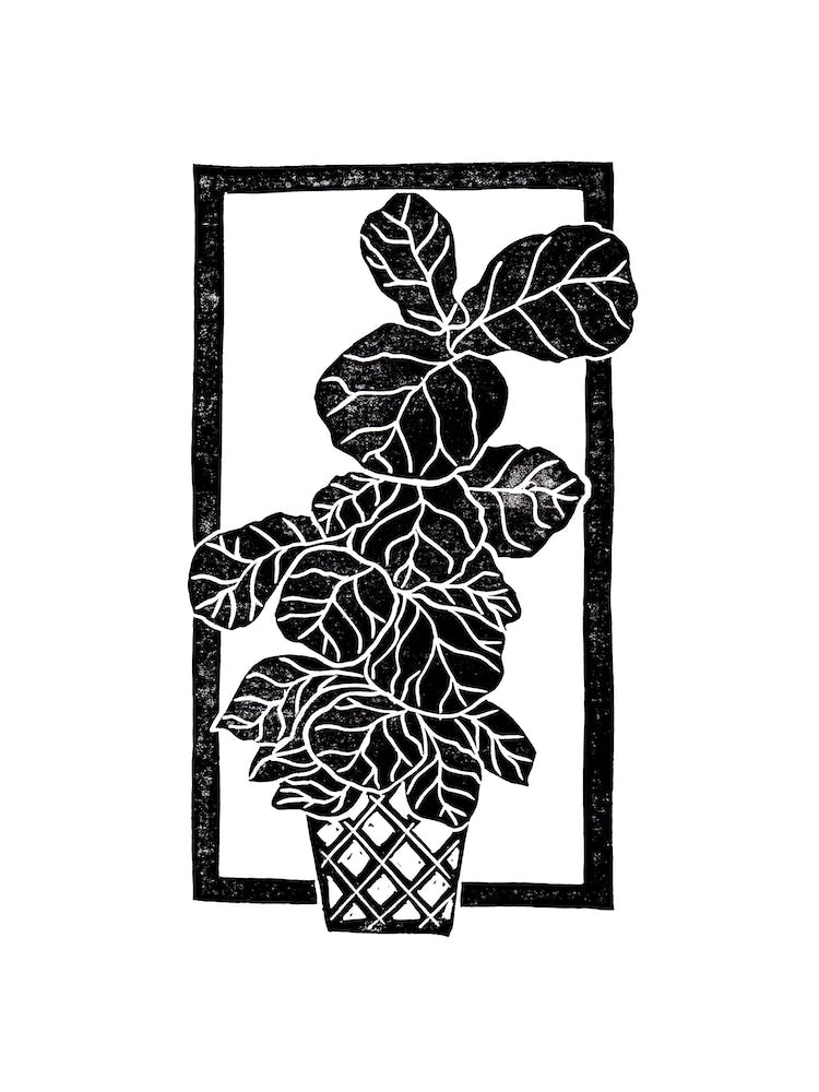 Fiddle Fig Leaf