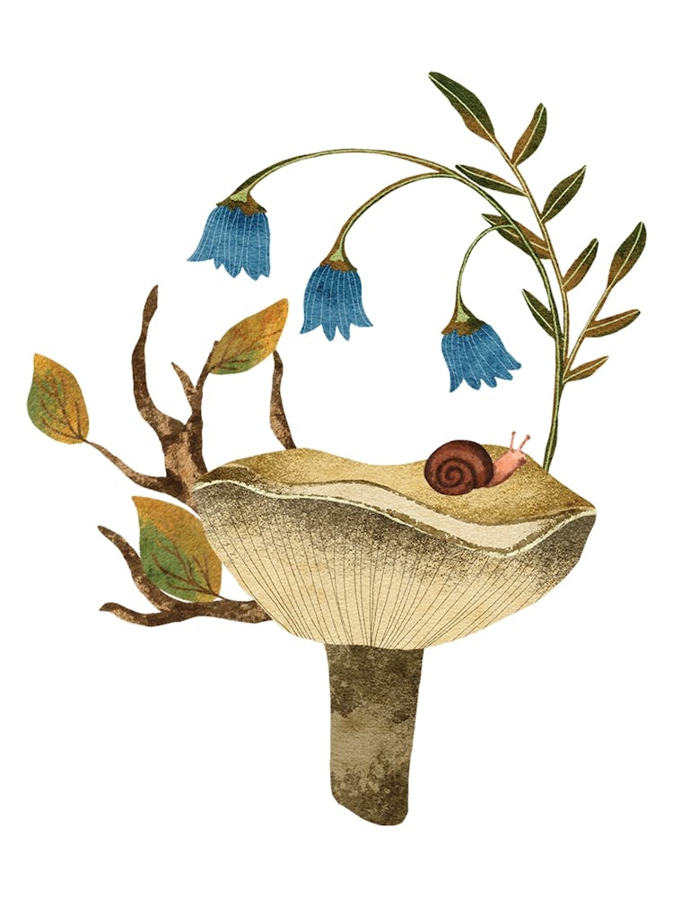 Snail On A Mushroom with blue flowers