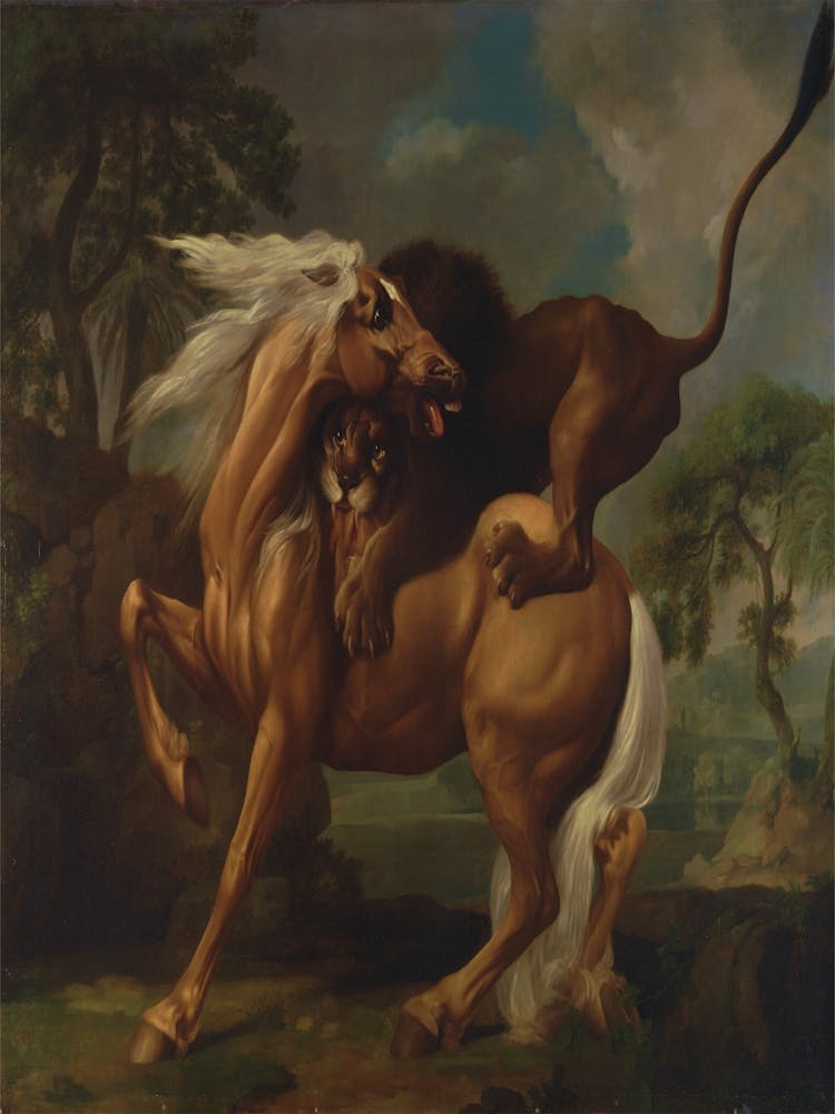 Lion And A Stallion