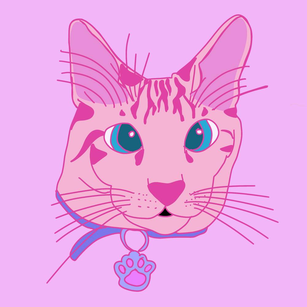 Psychodelic pink Cat decoration 