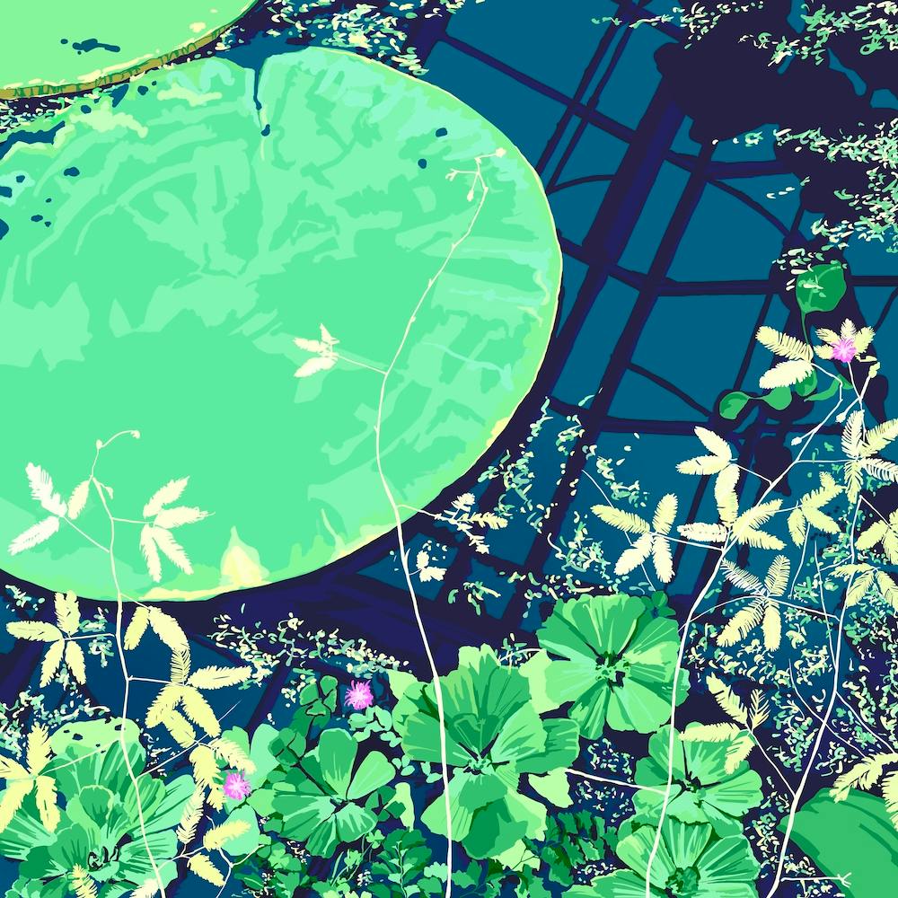 Lily Pads On Blue Square