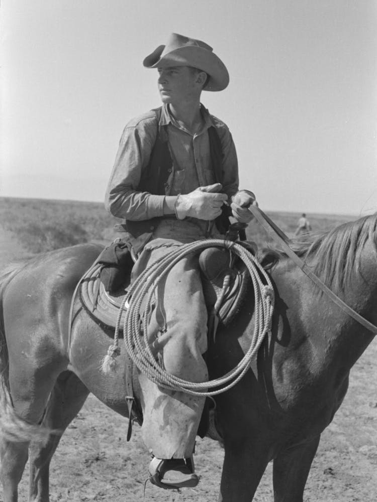 Cowboy On Horse With Equipment On Cattle Ranch Near Spur, Texas By Russell Lee