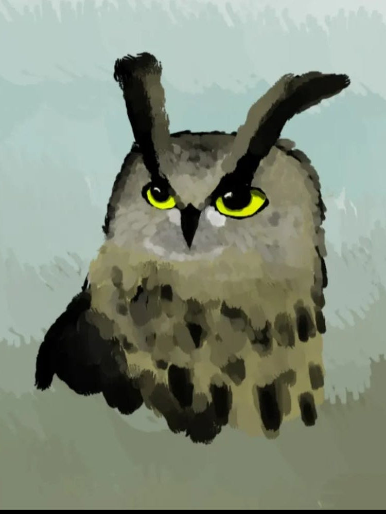 Owl portrait