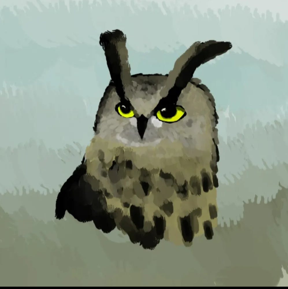 Owl portrait