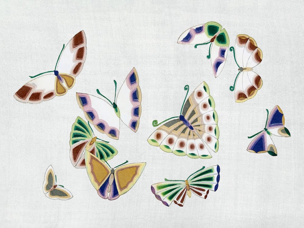 Birds From Momoyogusa –Flowers Of A Hundred Generations, Kamisaka Sekka (24)