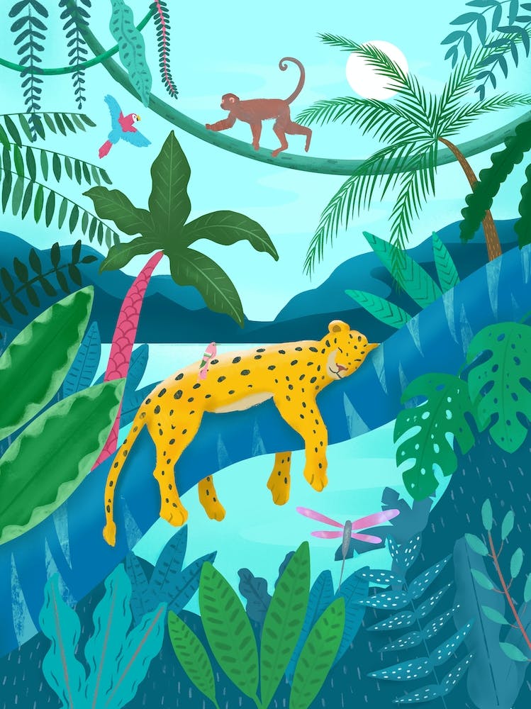 Jungle