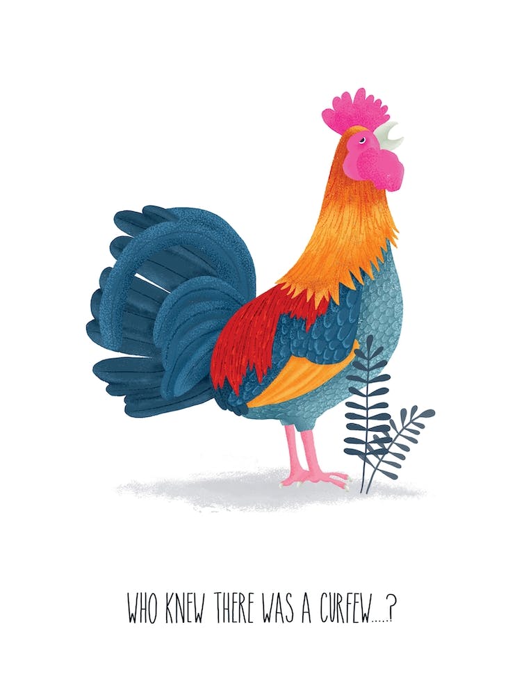 Curfew Rooster Farm Kitchen