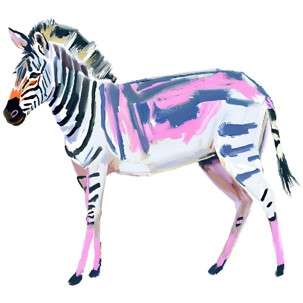 Plains Zebra 03