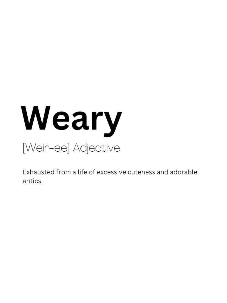 Weary Definition Meaning