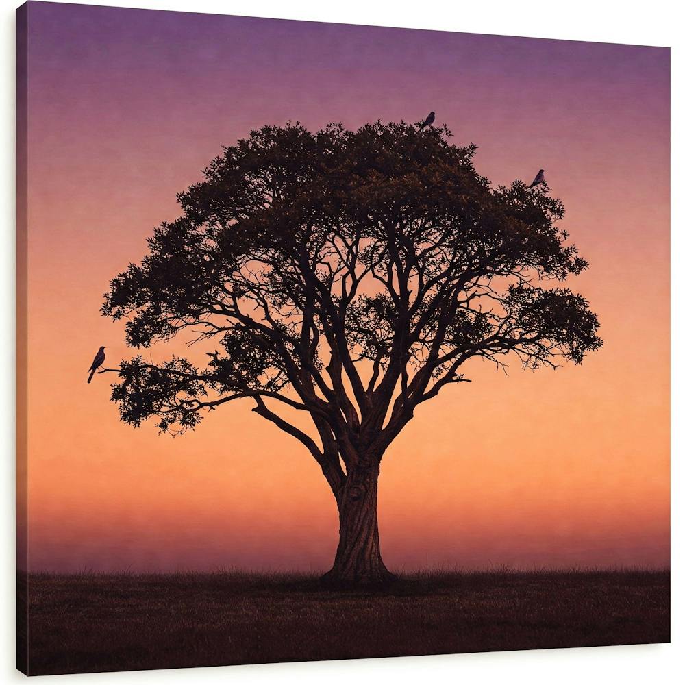 Sunset Tree Canvas Print