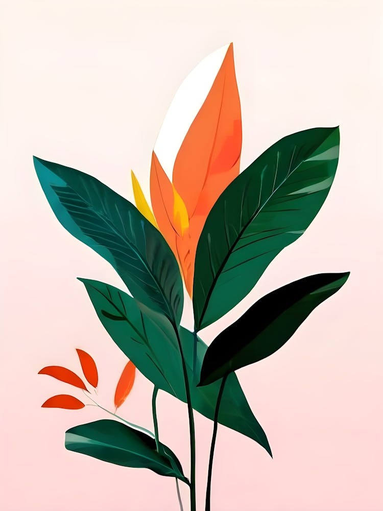 Tropical Flower