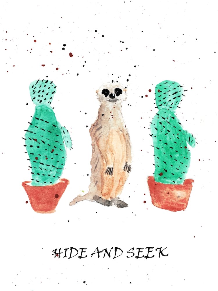 Hide And Seek