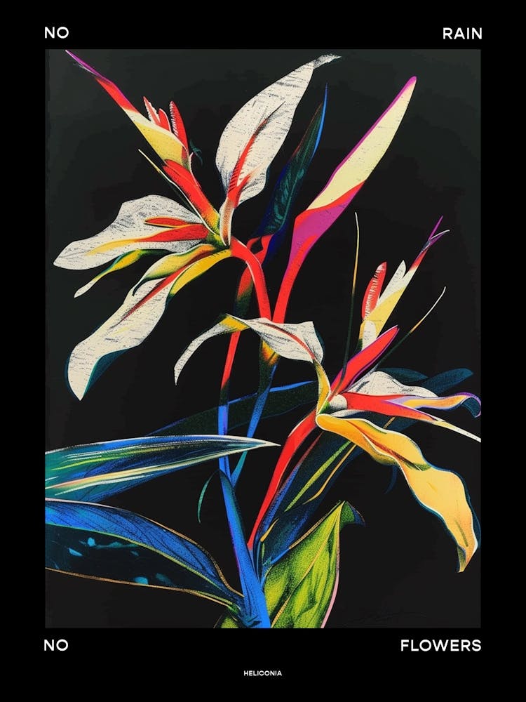 No Rain No Flowers Poster Heliconia 1