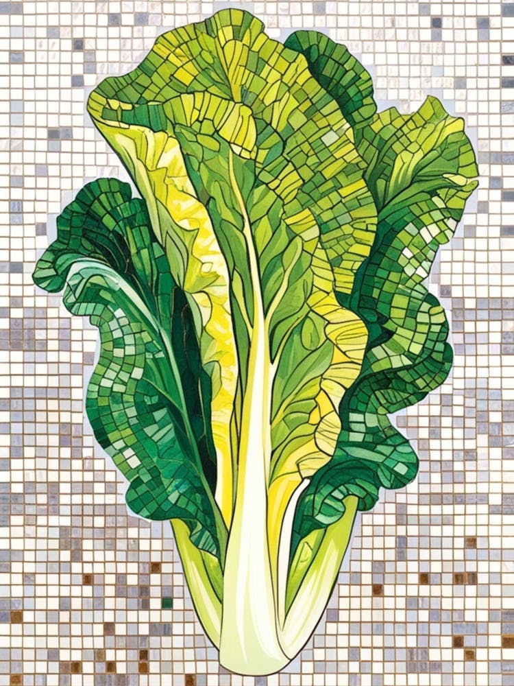 Chou Frisé Mosaïque