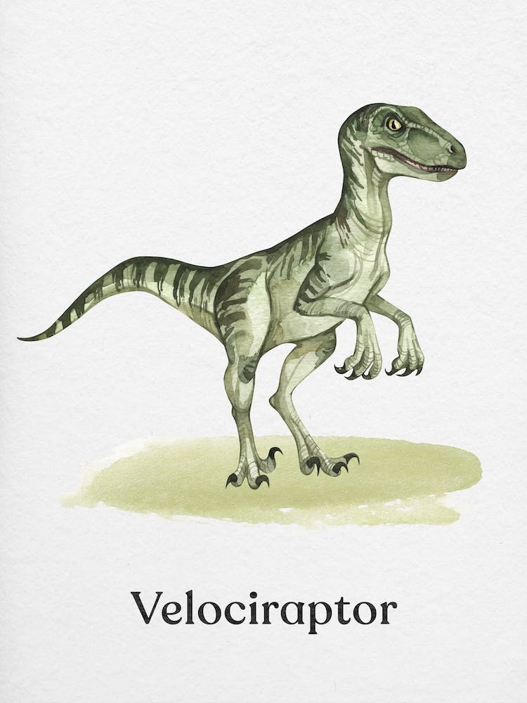Velociraptor