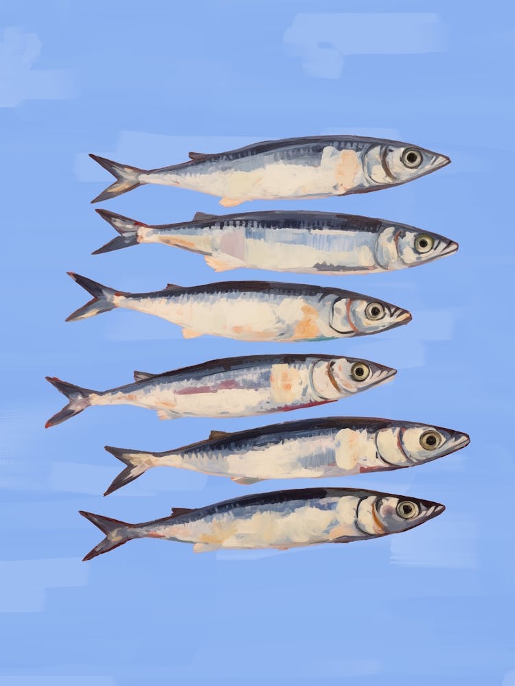 Sardines In Blue