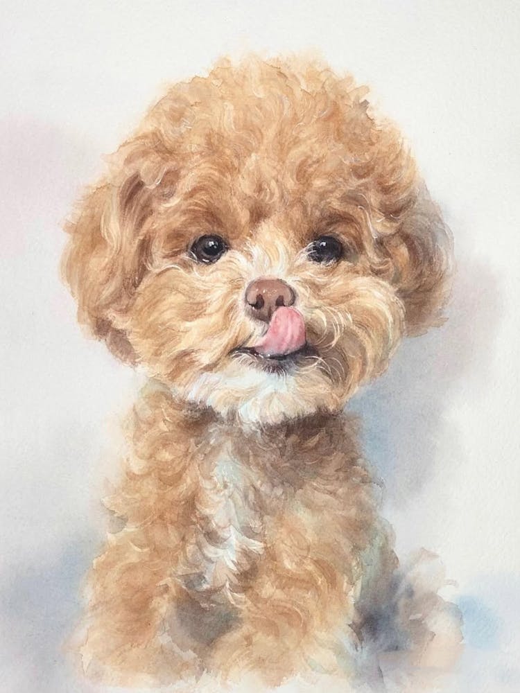 Poodle Painting