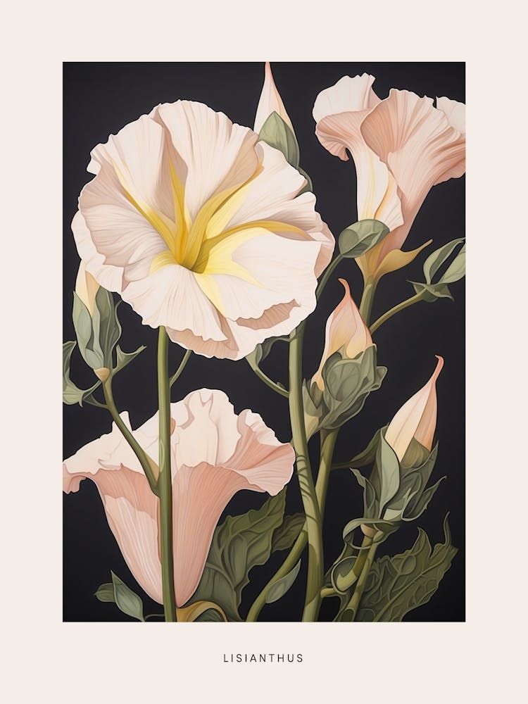 Flower Illustration Lisianthus 1 Poster