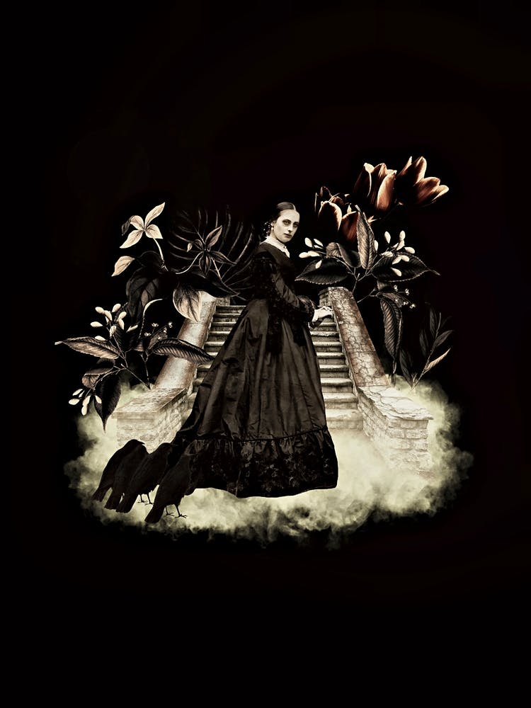Gothic Dark Vintage Woman With Crows