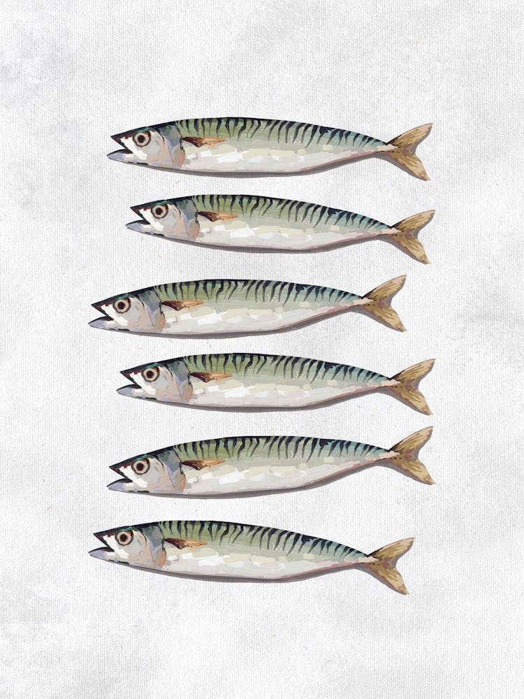 Mackerel Kitchen Print