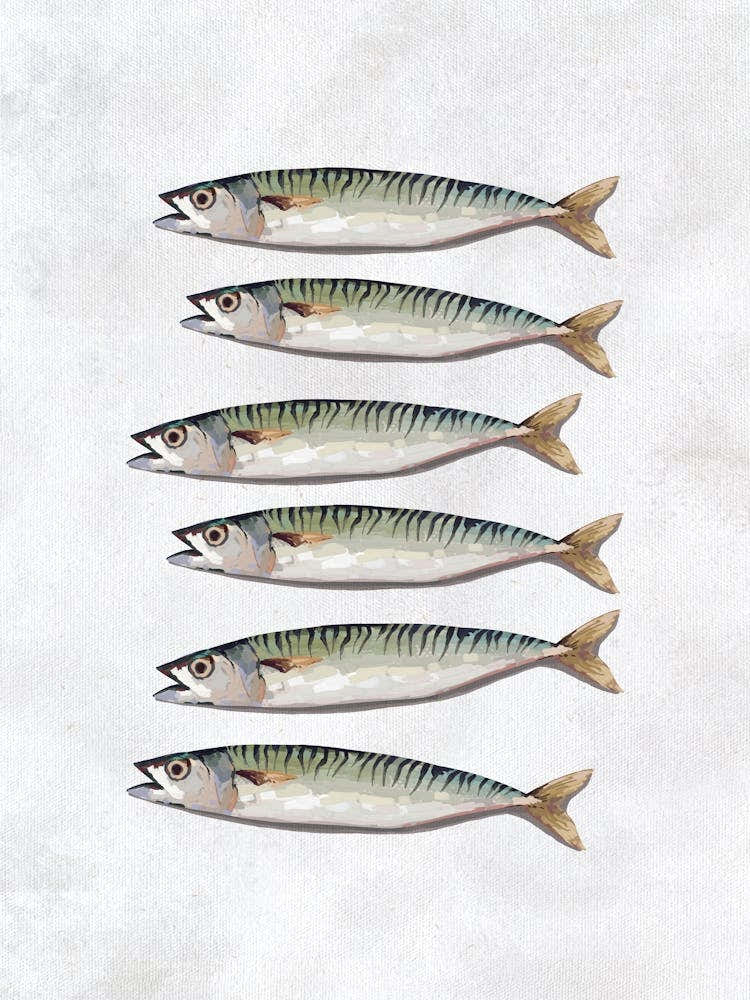 Mackerel Kitchen Print
