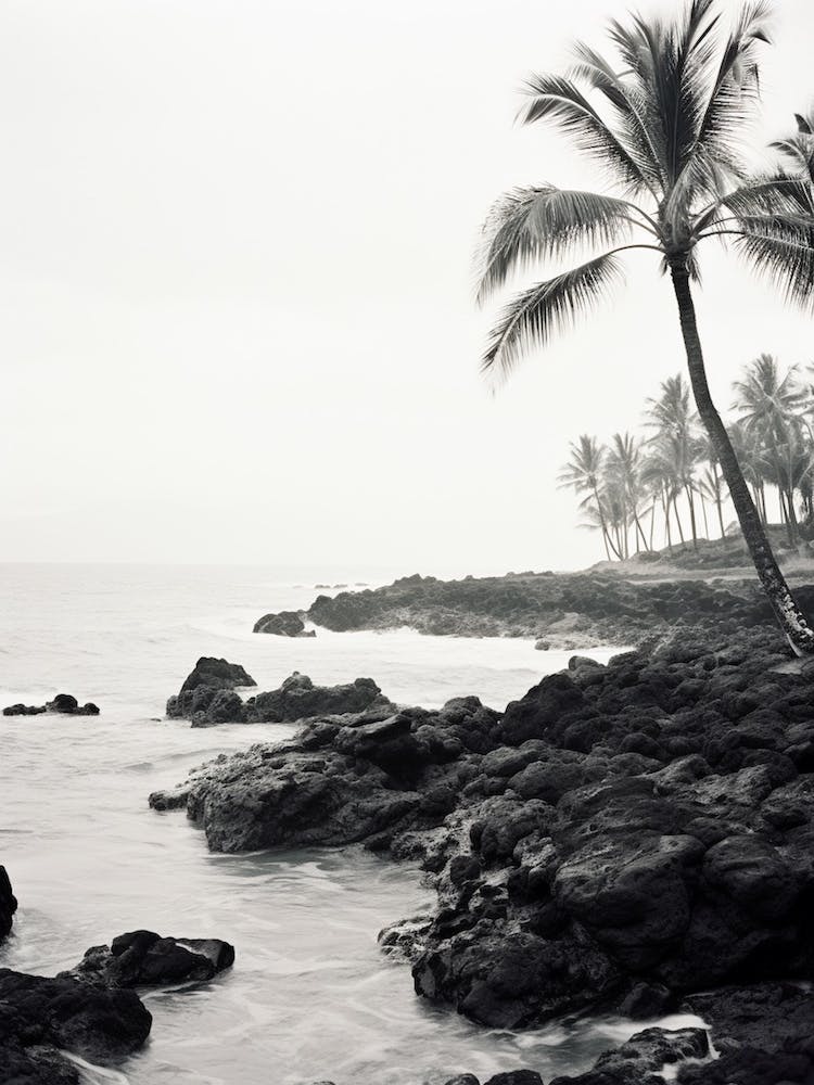 Maui, Black And White Analogue Photograph 3