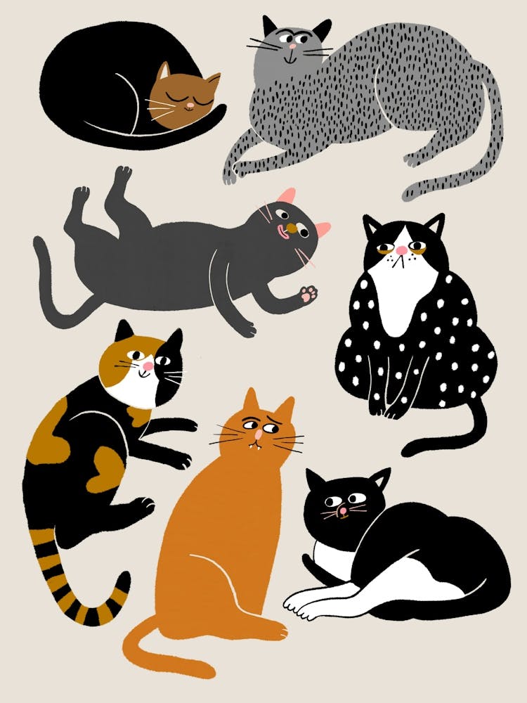 Cats.
