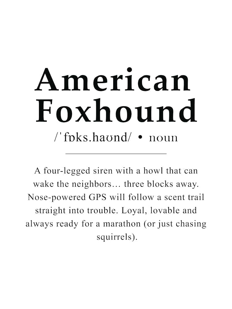 American Foxhound Definition Poster - Dictionary