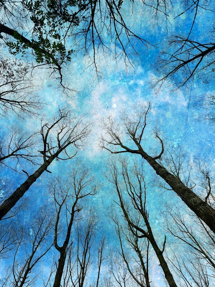 Reaching To Heaven