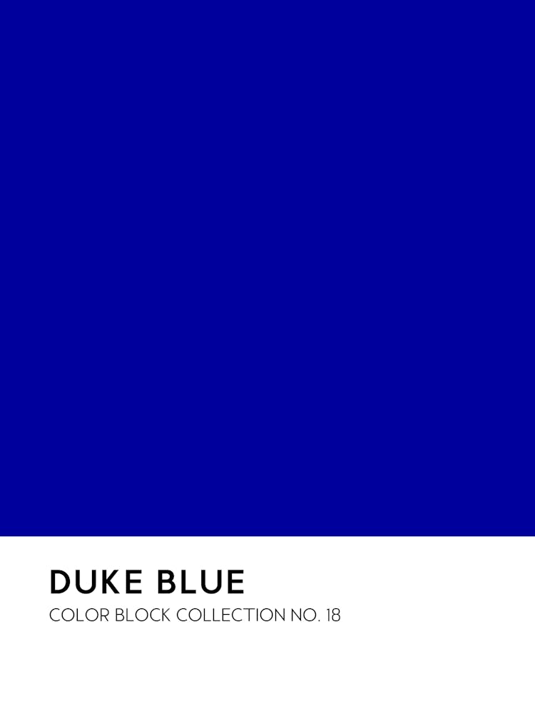 Duke Blue Color Block Collection Wall