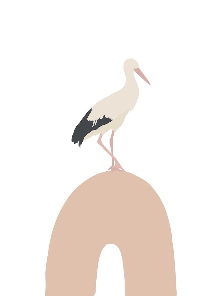 Inspired Bird On Rainbow